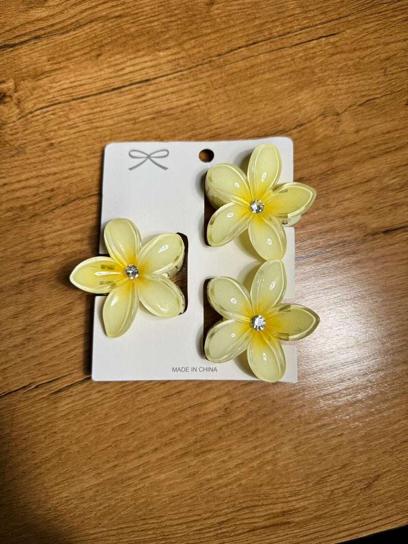Floral Hair Clips (Set of 3)
